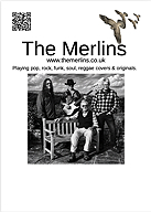 B&W Merlins flyer with space for event details