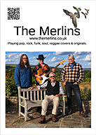 Colour full-page Merlins flyer