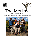 Colour Merlins flyer with space for event details